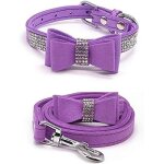 Chenquansarl - collier pour chien avec laisse ensemble colliers et laisses pour animaux de compagnie ...