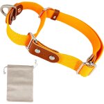 Chenquansarl - collier pour chien martingale, anti - traction, en poly - coton et cuir. m. orange & cognac ... Chenquansarl - collier pour chien martingale, anti - traction, en poly - coton et cuir. m. orange & cognac ...