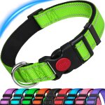 Chenquansarl - collier pour chien réfléchissant réglable avec rembourrage en néoprène doux, collier en ... Chenquansarl - collier pour chien réfléchissant réglable avec rembourrage en néoprène doux, collier en ...