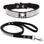 Chenquansarl - collier pour chien avec strass, mignon et etincelant en daim doux pour chien et chat avec ...