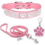 Chenquansarl - collier chien strass collier en velours doux colliers en cuir pour chiens laisse et collier ...