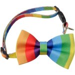 Chenquansarl - collier rglable pour chien avec n?ud papillon arc - en - ciel pour animaux de compagnie, ...