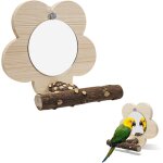 Chenquansarl - miroir o au avec perche, miroir pour o aux, miroir perroquet, miroir o aux cage, support ...