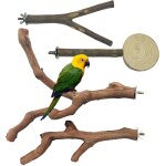 Chenquansarl - perchoirs en bois pour o au, 4 pcs branches en bois de cage a o aux, branches en bois ... Chenquansarl - perchoirs en bois pour o au, 4 pcs branches en bois de cage a o aux, branches en bois ...