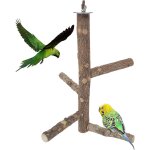 Chenquansarl - support perroquet bois, perchoir a o aux en bois, o au perchoirs bois, o aux perchoirs ... Chenquansarl - support perroquet bois, perchoir a o aux en bois, o au perchoirs bois, o aux perchoirs ...