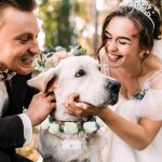 Chicslick - 3 pcs collier de mariage pour chien ensemble de fleurs porte alliances pour chien en perles ...
