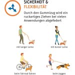 Chicslick - amortisseur pour chien petit solide extension de laisse elastique et lgre pour chaque laisse ...