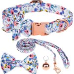 Chicslick - collier pour chien, rglable motif floral joli collier pour chien avec fleur dtachable en ...