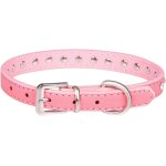 Chicslick - colliers classiques pour chiens, collier mignon pour chiot en daim brillant avec laisse (rose, ... Chicslick - colliers classiques pour chiens, collier mignon pour chiot en daim brillant avec laisse (rose, ...