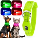 Chicslick - collier lumineux pour chien - rechargeable par usb - led rglable - clignotant durable - ...