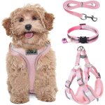 Chicslick - harnais chaton rglable anti - evasion avec collier et laisse pour chat et petit chien, gilet ...