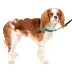 Chicslick - - harnais easy walk deluxe, harnais de marche sans traction pour chiens, design rembourré, ... Chicslick - - harnais easy walk deluxe, harnais de marche sans traction pour chiens, design rembourré, ...