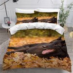 Chien de berger belge housse de couette x imprim�� d chienanimal parure de lit personnes ado fille enfants ...