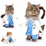 Chien chat docteur costume pet docteur v?�tements halloween jeans outfit v?�tements