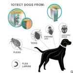 Chien ? collier anti - puces et anti - tiques pour grands chiens - 8kg et plus