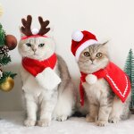 Christmas costume for dogs, cats, accessories, christmas costume, cape scarf, santa claus hat, reindeer ...