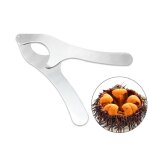 Ciseaux a coquille d'oursin en acier inoxydable, outil de rupture d'oursin, ustensile de cuisine