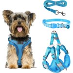 Cmjaagur - harnais rglable anti - evasion avec collier et laisse pour chat et petit chien, gilet rflchissan ...