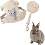 Cmjaagur - laisse pour lapin nain accessoires, harnais pour lapin, colliers et laisses pour petits animaux, ...