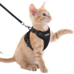 Cmws - harnais chat anti - evasion avec laisse noir xxs, harnais chaton petit chien r�glable, collier ...