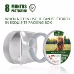 Collier ajustable pour animaux de compagnie, 8 mois, protection a long terme, pour chien, anti puces, ...