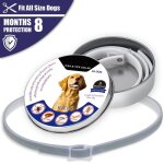 Collier ajustable anti - moustiques pour chien et chat, protection d'extrieur, insecticide, huile essentielle ...