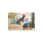 Collier anti - aboiement bark control de petsafe