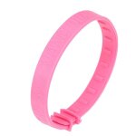 Collier anti - puces pour chien et chat, 1 pi�ce, 25cm, elimine les tiques, anti - moustiques, contr�le ...