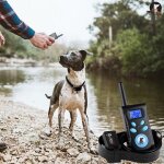 Collier antiaboiement pour chien t�l�command� vibration et d�charge electrique yonis