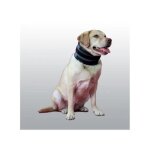 Collier pour chien bite free s - no name