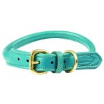 Collier pour chien en cuir roul� weatherbeeta xs mixte vert