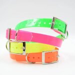 Collier chien fluo biogold taille standard 4 couleurs