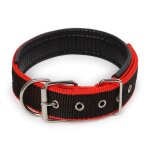 Collier de chien inf anti - etranglement r�glable avec boucle en m�tal multicolore