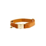 Collier pour chien kentucky velvet