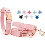 Collier de chien et laisse en cuir souple, réglable en 3 longueurs laisse pour chien et collier ensemble ... Collier de chien et laisse en cuir souple, réglable en 3 longueurs laisse pour chien et collier ensemble ...