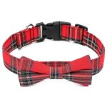 Collier chien avec noeud papillon amovible - taille r�glable grand chien