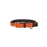 Collier pour chien en nylon tress� kentucky