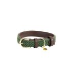 Collier pour chien en nylon tress� kentucky