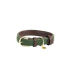 Collier pour chien en nylon tress� kentucky