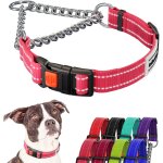 Collier de chien réfléchissant colliers martingale boucle a dégagement latéral formation de la chaîne ... Collier de chien réfléchissant colliers martingale boucle a dégagement latéral formation de la chaîne ...