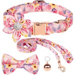 Collier pour chien, r�glable motif floral joli collier pour chien avec fleur d�tachable en strass noeud ...