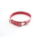 Collier pour chien surpiqu� avec plaque martin sellier 16 / 40 cm mixte rouge