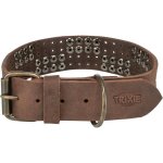 Collier pour chien - trixie - marron - cuir rustique - rivets - grand taille