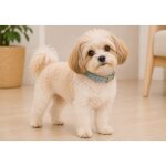 Collier pour chien virginia en cuir xs / s 24 - 30cm 15mm bleu