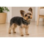 Collier pour chien virginia en cuir xs / s 24 - 30cm 15mm gris