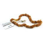 Collier d¿ambre pour chiens et chats ¿ 100% ambre baltique ¿ collier antiparasitaire pour chien et chat ... Collier d¿ambre pour chiens et chats ¿ 100% ambre baltique ¿ collier antiparasitaire pour chien et chat ...