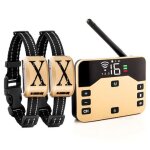 Collier de dressage pour chien cl�ture electronique sans fil 10 a 300 m ipx7 or yonis