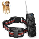 Collier de dressage pour chien t�l�commande port�e 300 m r�cepteur etanche yonis