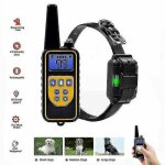Collier de dressage electrique pour chien - tlcommande etanche 800m