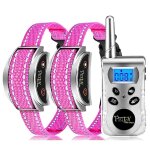 Collier d'entranement a distance pour chat, collier anti - miaulement pour chat, etanche et aste, collier ...